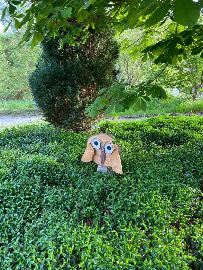 Urlaub In Der Natur 吕登沙伊德 外观 照片
